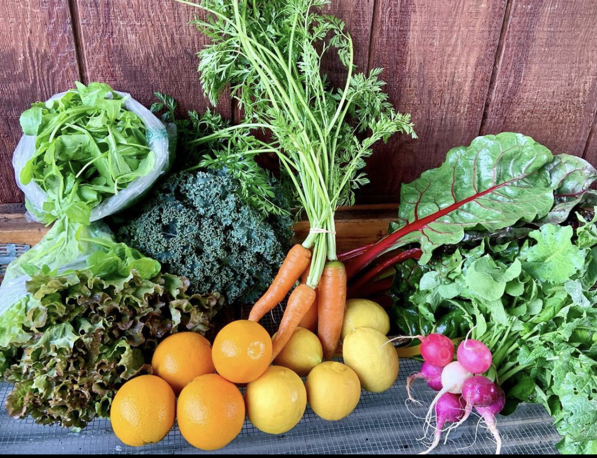 Jared’s Real Food Farm UCSD Center for Community Health